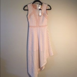 bcbgmazaxria dress